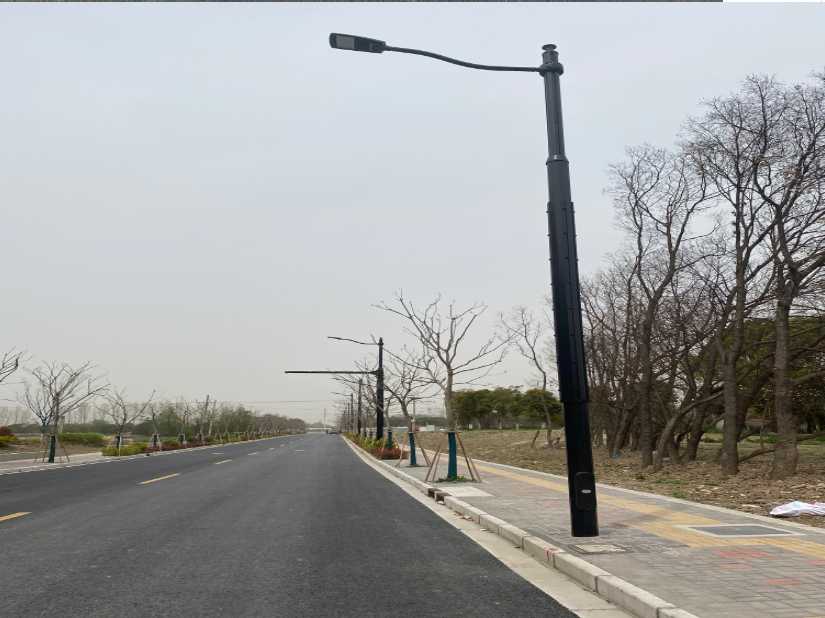 滴道区上海综合杆 太阳能路灯工程